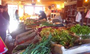 Geneva Farmers Market